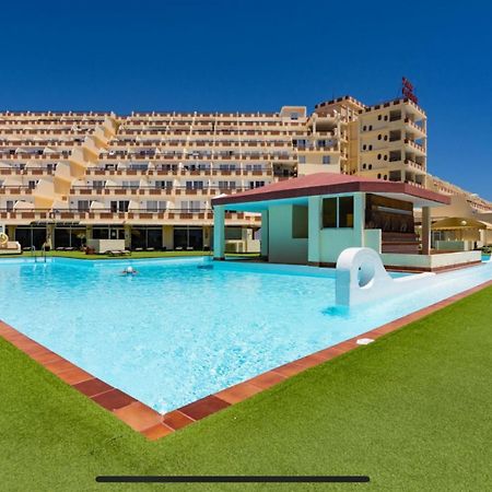 Palm Garden Apartment モロ・デル・ハブレ エクステリア 写真