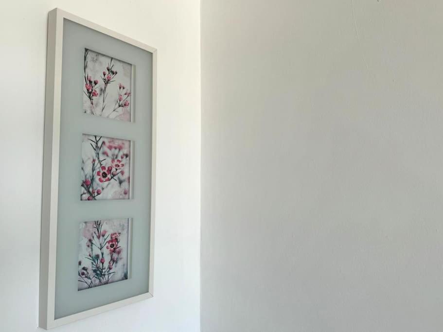 Palm Garden Apartment モロ・デル・ハブレ エクステリア 写真