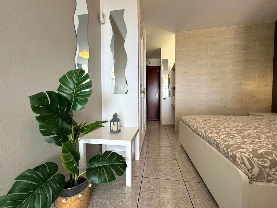 Palm Garden Apartment モロ・デル・ハブレ エクステリア 写真