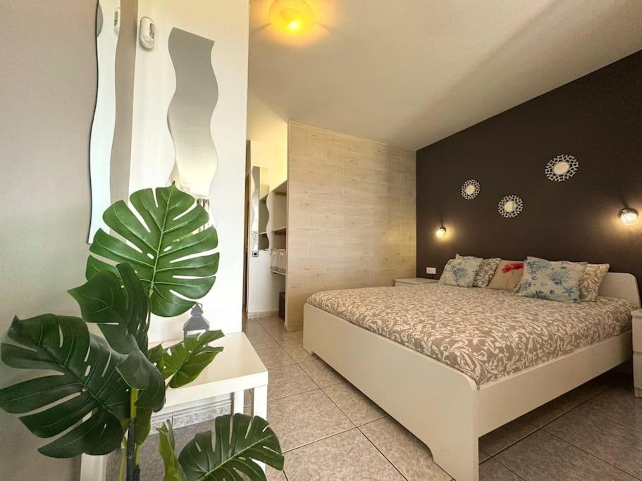 Palm Garden Apartment モロ・デル・ハブレ エクステリア 写真